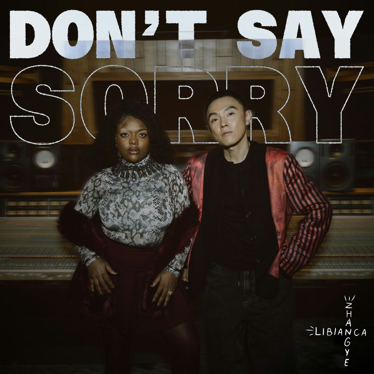 ZHANGYE x Libianca - Don't Say Sorry